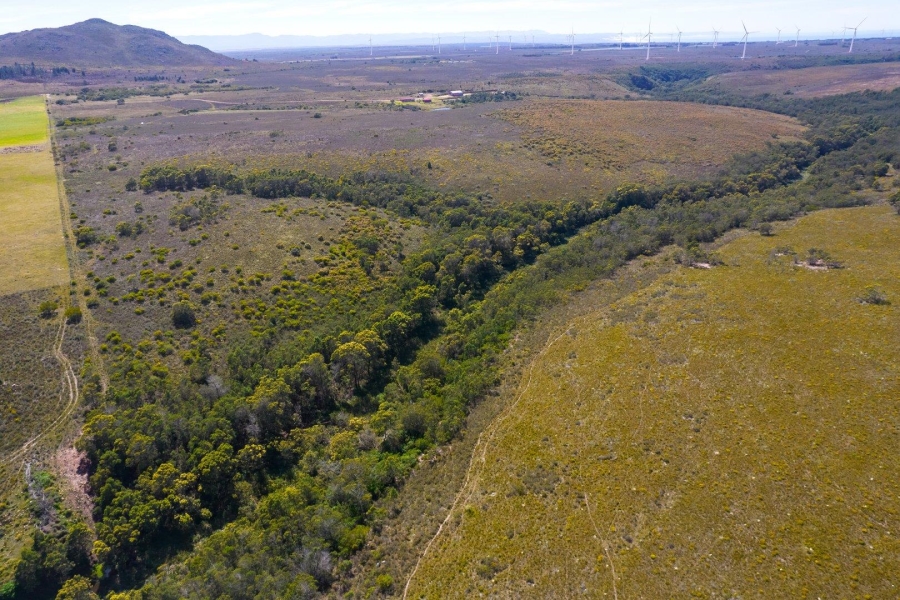 0 Bedroom Property for Sale in Humansdorp Rural Eastern Cape